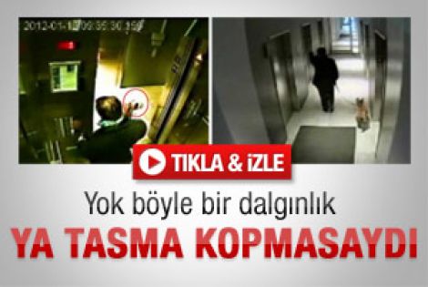 Yok böyle bir dalgınlık - İzle