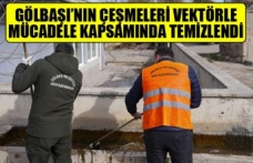 GÖLBAŞI’NIN ÇEŞMELERİ VEKTÖRLE MÜCADELE KAPSAMINDA TEMİZLENDİ