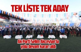 Ak Parti Selim Akceylan ile yola devam dedi