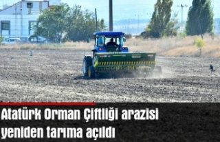 Atatürk Orman Çiftliği arazisi yeniden tarıma...