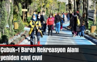 Çubuk-1 Barajı Rekreasyon Alanı yeniden cıvıl...