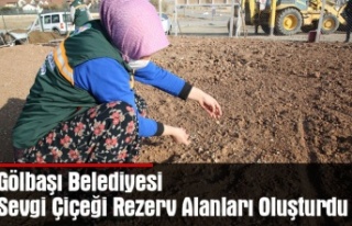 Gölbaşı Belediyesi Sevgi Çiçeği Rezerv Alanları...