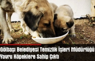 Gölbaşı Belediyesi Temizlik İşleri Müdürlüğü...