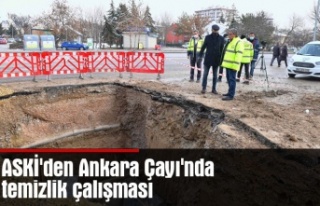 ASKİ'den Ankara Çayı'nda temizlik çalışması