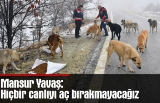 Mansur Yavaş: Hiçbir canlıyı aç bırakmayacağız