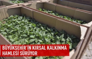 Büyükşehir'in kırsal kalkınma hamlesi sürüyor