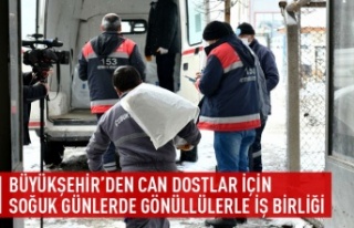 BÜYÜKŞEHİR’DEN CAN DOSTLAR İÇİN SOĞUK GÜNLERDE...