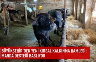 Büyükşehir'den yeni kırsal kalkınma hamlesi:manda...