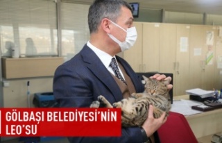 Leo, Gölbaşı Belediyesi’nin Maskotu Oldu