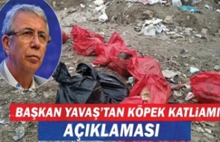 Mansur Yavaş'tan köpek katliamına ilişkin...