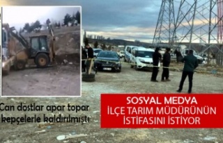 Sosyal medya İlçe Tarım Müdürü'nün istifasını...