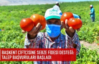 Başkent çiftçisine sebze fidesi desteği