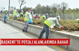 Başkent'te bahar hazırlığı