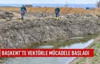 Başkent'te vektörle mücadele başladı