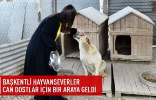 Başkentli hayvanseverler bir araya geldi