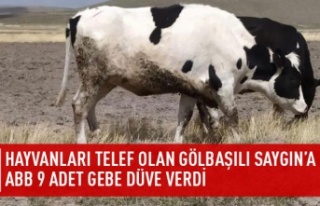 Mansur Yavaş mağdur hayvancının yardımına koştu