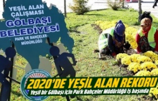 2020'de yeşil alan rekoru