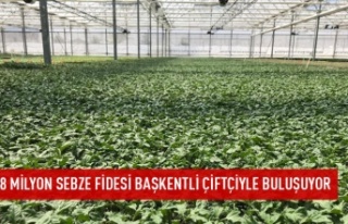 8 milyon sebze fidesi çiftçiyle buluşuyor