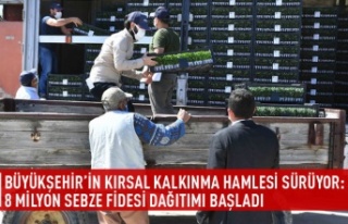 8 MİLYON SEBZE FİDESİ DAĞITIMI BAŞLADI