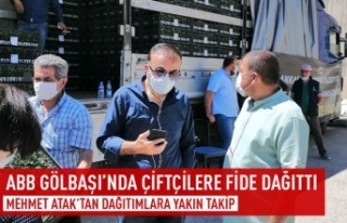 ABB Gölbaşı'nda fide dağıtımı gerçekleştirildi