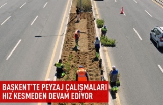 Başkent'te peyzaj çalışmaları devam ediyor