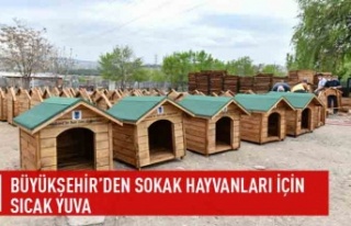 Büyükşehir'den sokak hayvanları için sıcak...