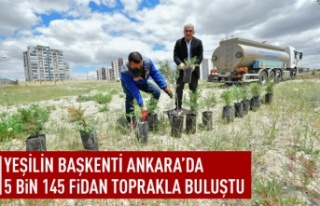 Ankara'da 5 bin 145 fiden toprakla buluştu