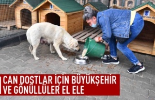 Can dostlar için Büyükşehir ile gönüllüler...