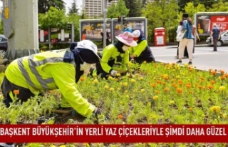 Başkent büyükşehir'in yerli yaz çiçekleriyle...