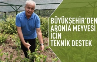 Büyükşehir'den Aronia Meyvesi için teknik...