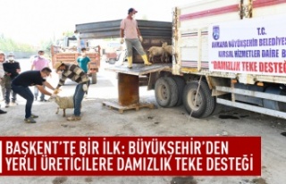 Büyükşehir'den üreticilere teke desteği