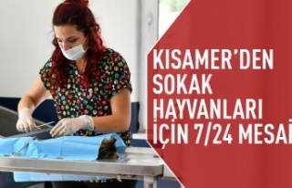 KISAMER'den sokak hayvanları için mesai