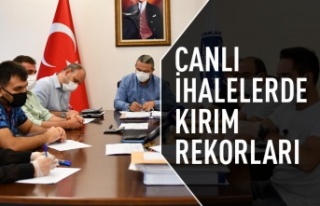 Canlı ihalelerde kırım rekoru