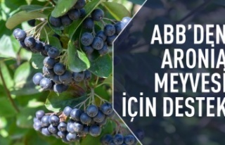 Büyükşehir'den aronia meyvesi için destek