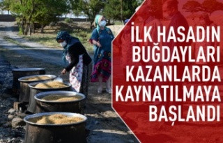 İlk hasadın buğdayları kazanlarda kaynatılmaya...