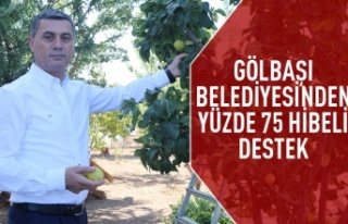 Gölbaşı Belediyesinden Çiftçiye %75 Hibe Buğday...