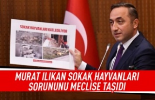 Murat Ilıkan sokak hayvanı sorununu gündeme taşıdı