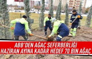 ABB'den ağaç seferberliği