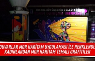 Duvarlar Mor Haritam ile renklendirildi