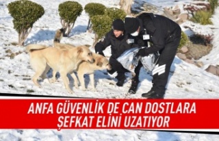 ANFA güvenlik de can dostlara şefkat elini uzatıyor