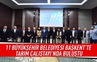 11 Büyükşehir belediyesi Başkent'te tarım...