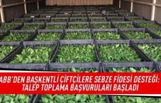 ABB'den Başkentli çiftçilere sebze fidesi...