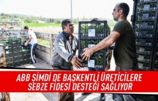 ABB şimdi de başkentli üreticilere sebze fidesi...