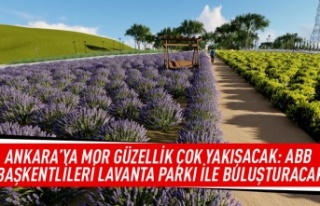 Ankara'ya mor güzellik çok yakışacak: ABB...