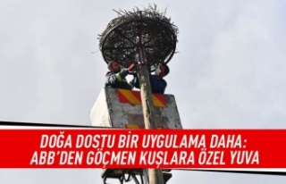 Doğa dostu bir uygulama daha: ABB'den göçmen...