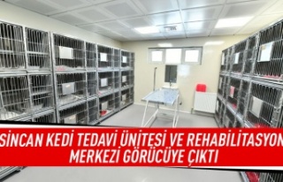 Sincan Kedi Tedavi Ünitesi ve Rehabilitasyon Merkezi...