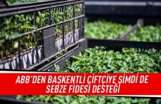 ABB'den Başkentli çiftçiye şimdi de sebze...