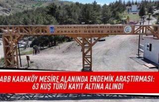 ABB Karaköy mesire alanında endemik araştırması:...