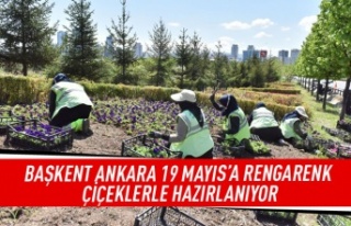Başkent Ankara 19 Mayıs'a rengarenk çiçeklerle...