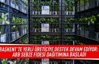 Başkent'te yerli üreticiye destek devam ediyor:...